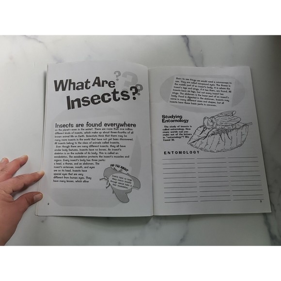 Let's Discover Insects Fantastic Facts, Super Stickers, And Amazing Activities - Picture 3 of 10